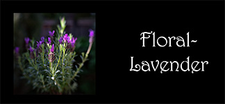 Floral-Lavender